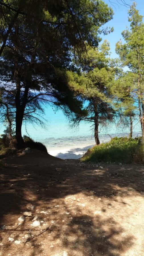 Kriopigi Paradise Bagian luar foto